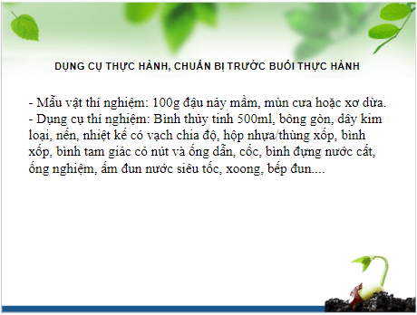 Giáo án điện tử KHTN 7 Kết nối tri thức Bài 27: Thực hành: Hô hấp ở thực vật | PPT Khoa học tự nhiên 7