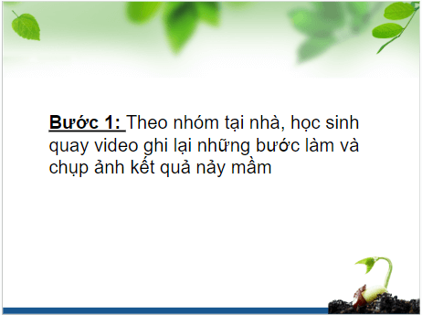 Giáo án điện tử KHTN 7 Kết nối tri thức Bài 27: Thực hành: Hô hấp ở thực vật | PPT Khoa học tự nhiên 7