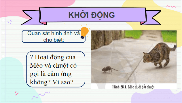 Giáo án điện tử KHTN 7 Cánh diều Bài 28: Tập tính ở động vật | PPT Khoa học tự nhiên 7