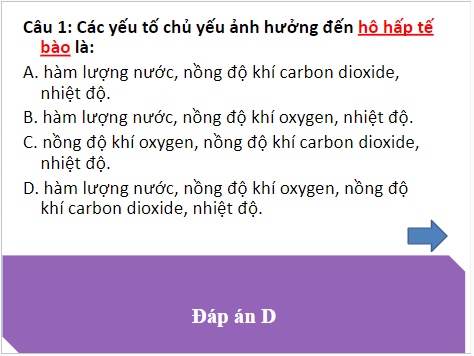 Giáo án điện tử KHTN 7 Kết nối tri thức Bài 28: Trao đổi khí ở sinh vật | PPT Khoa học tự nhiên 7