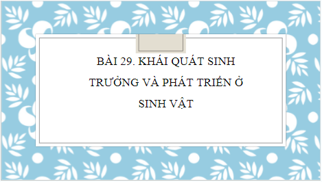 Giáo án điện tử KHTN 7 Cánh diều Bài 29: Khái quát về sinh trưởng và phát triển ở sinh vật | PPT Khoa học tự nhiên 7