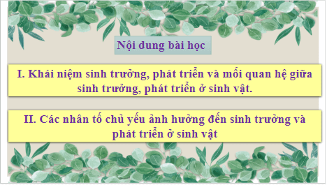 Giáo án điện tử KHTN 7 Cánh diều Bài 29: Khái quát về sinh trưởng và phát triển ở sinh vật | PPT Khoa học tự nhiên 7