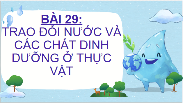 Giáo án điện tử KHTN 7 Chân trời sáng tạo Bài 29: Trao đổi nước và các chất dinh dưỡng ở thực vật | PPT Khoa học tự nhiên 7