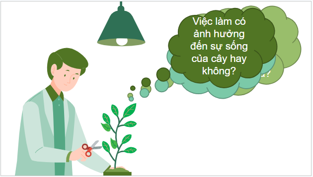 Giáo án điện tử KHTN 7 Chân trời sáng tạo Bài 29: Trao đổi nước và các chất dinh dưỡng ở thực vật | PPT Khoa học tự nhiên 7