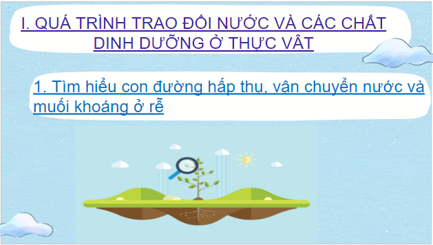 Giáo án điện tử KHTN 7 Chân trời sáng tạo Bài 29: Trao đổi nước và các chất dinh dưỡng ở thực vật | PPT Khoa học tự nhiên 7