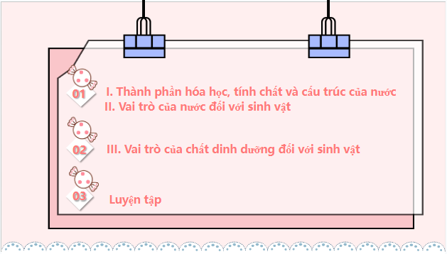 Giáo án điện tử KHTN 7 Kết nối tri thức Bài 29: Vai trò của nước và chất dinh dưỡng đối với sinh vật | PPT Khoa học tự nhiên 7