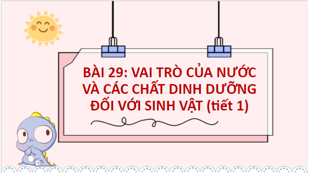 Giáo án điện tử KHTN 7 Kết nối tri thức Bài 29: Vai trò của nước và chất dinh dưỡng đối với sinh vật | PPT Khoa học tự nhiên 7