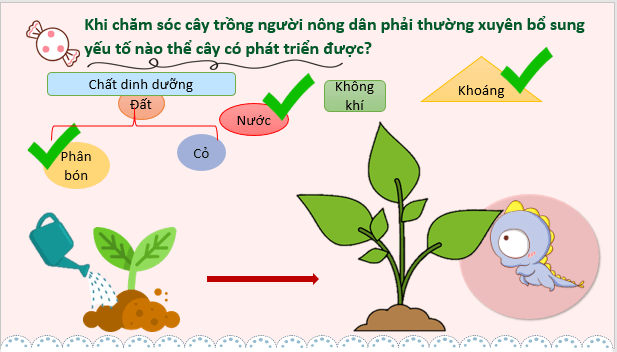 Giáo án điện tử KHTN 7 Kết nối tri thức Bài 29: Vai trò của nước và chất dinh dưỡng đối với sinh vật | PPT Khoa học tự nhiên 7