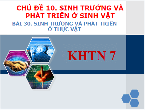 Giáo án điện tử KHTN 7 Cánh diều Bài 30: Sinh trưởng và phát triển ở thực vật | PPT Khoa học tự nhiên 7