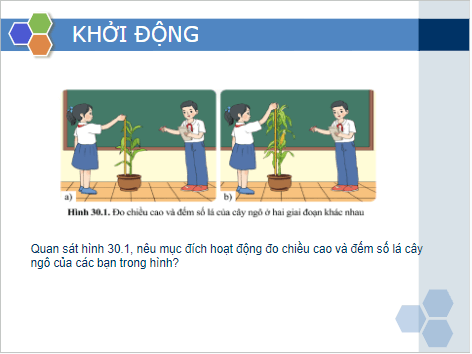 Giáo án điện tử KHTN 7 Cánh diều Bài 30: Sinh trưởng và phát triển ở thực vật | PPT Khoa học tự nhiên 7