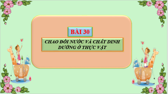 Giáo án điện tử KHTN 7 Kết nối tri thức Bài 30: Trao đổi nước và chất dinh dưỡng ở thực vật | PPT Khoa học tự nhiên 7