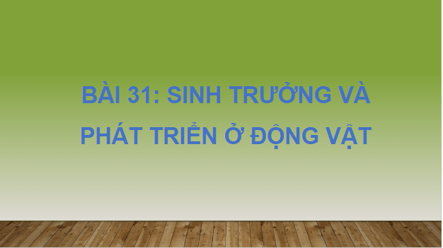 Giáo án điện tử KHTN 7 Cánh diều Bài 31: Sinh trưởng và phát triển ở động vật | PPT Khoa học tự nhiên 7