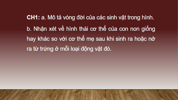 Giáo án điện tử KHTN 7 Cánh diều Bài 31: Sinh trưởng và phát triển ở động vật | PPT Khoa học tự nhiên 7