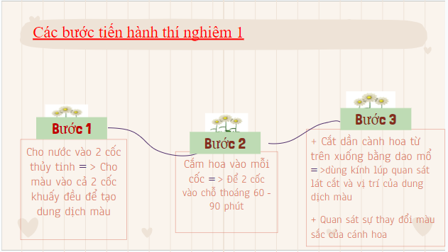 Giáo án điện tử KHTN 7 Chân trời sáng tạo Bài 31: Thực hành chứng minh thân vận chuyển nước và lá thoát hơi nước | PPT Khoa học tự nhiên 7