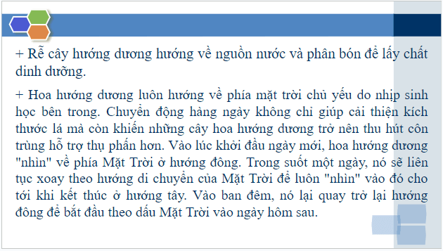 Giáo án điện tử KHTN 7 Chân trời sáng tạo Bài 32: Cảm ứng ở sinh vật | PPT Khoa học tự nhiên 7