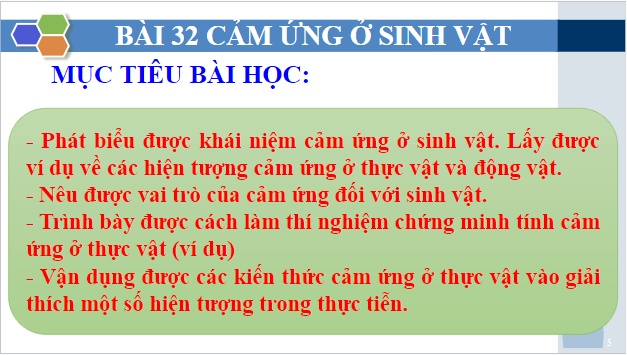 Giáo án điện tử KHTN 7 Chân trời sáng tạo Bài 32: Cảm ứng ở sinh vật | PPT Khoa học tự nhiên 7