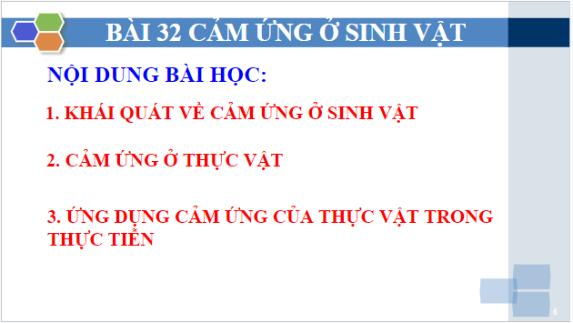 Giáo án điện tử KHTN 7 Chân trời sáng tạo Bài 32: Cảm ứng ở sinh vật | PPT Khoa học tự nhiên 7