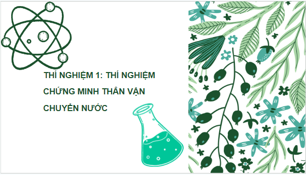 Giáo án điện tử KHTN 7 Kết nối tri thức Bài 32: Thực hành: Chứng minh thân vận chuyển nước và lá thoát hơi nước | PPT Khoa học tự nhiên 7