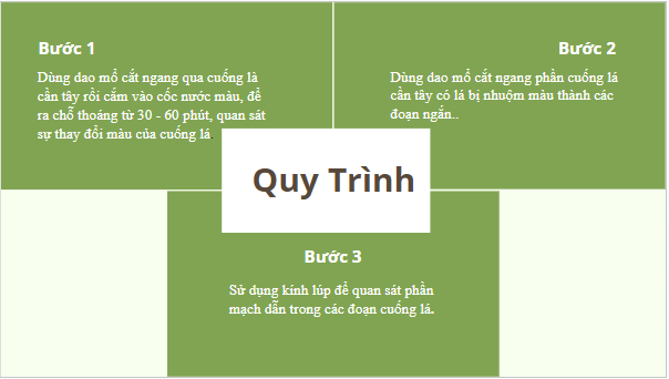 Giáo án điện tử KHTN 7 Kết nối tri thức Bài 32: Thực hành: Chứng minh thân vận chuyển nước và lá thoát hơi nước | PPT Khoa học tự nhiên 7