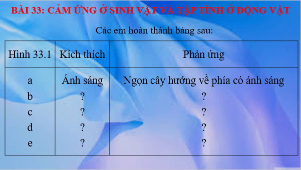 Giáo án điện tử KHTN 7 Kết nối tri thức Bài 33: Cảm ứng ở sinh vật và tập tính ở động vật | PPT Khoa học tự nhiên 7