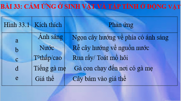 Giáo án điện tử KHTN 7 Kết nối tri thức Bài 33: Cảm ứng ở sinh vật và tập tính ở động vật | PPT Khoa học tự nhiên 7