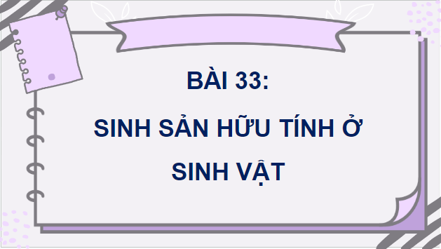 Giáo án điện tử KHTN 7 Cánh diều Bài 33: Sinh sản hữu tính ở sinh vật | PPT Khoa học tự nhiên 7