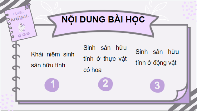 Giáo án điện tử KHTN 7 Cánh diều Bài 33: Sinh sản hữu tính ở sinh vật | PPT Khoa học tự nhiên 7