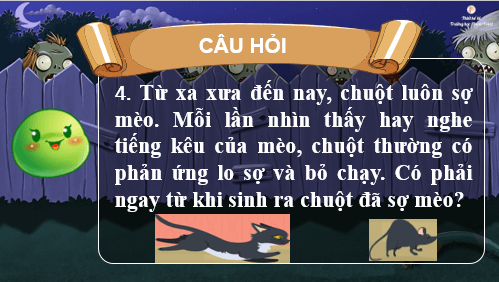 Giáo án điện tử KHTN 7 Chân trời sáng tạo Bài 33: Tập tính ở động vật | PPT Khoa học tự nhiên 7