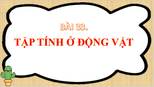 Giáo án điện tử KHTN 7 Chân trời sáng tạo Bài 33: Tập tính ở động vật | PPT Khoa học tự nhiên 7