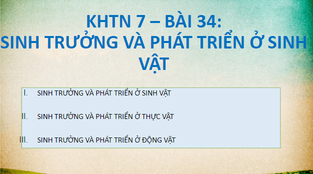 Giáo án điện tử KHTN 7 Chân trời sáng tạo Bài 34: Sinh trưởng và phát triển ở sinh vật | PPT Khoa học tự nhiên 7