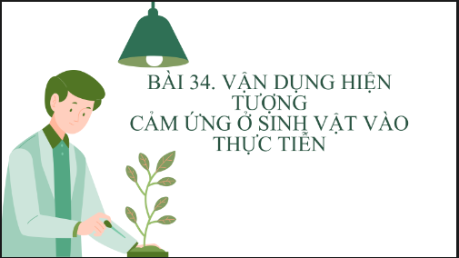 Giáo án điện tử KHTN 7 Kết nối tri thức Bài 34: Vận dụng hiện tượng cảm ứng ở sinh vật vào thực tiễn | PPT Khoa học tự nhiên 7