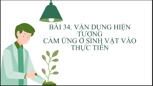 Giáo án điện tử KHTN 7 Kết nối tri thức Bài 34: Vận dụng hiện tượng cảm ứng ở sinh vật vào thực tiễn | PPT Khoa học tự nhiên 7