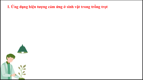 Giáo án điện tử KHTN 7 Kết nối tri thức Bài 34: Vận dụng hiện tượng cảm ứng ở sinh vật vào thực tiễn | PPT Khoa học tự nhiên 7