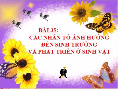 Giáo án điện tử KHTN 7 Chân trời sáng tạo Bài 35: Các nhân tố ảnh hưởng đến sinh trưởng và phát triển của sinh vật | PPT Khoa học tự nhiên 7