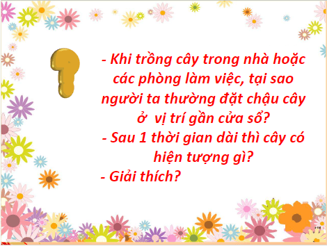 Giáo án điện tử KHTN 7 Chân trời sáng tạo Bài 35: Các nhân tố ảnh hưởng đến sinh trưởng và phát triển của sinh vật | PPT Khoa học tự nhiên 7