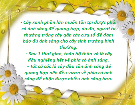 Giáo án điện tử KHTN 7 Chân trời sáng tạo Bài 35: Các nhân tố ảnh hưởng đến sinh trưởng và phát triển của sinh vật | PPT Khoa học tự nhiên 7