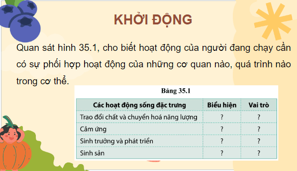 Giáo án điện tử KHTN 7 Cánh diều Bài 35: Sự thống nhất về cấu trúc và các hoạt động sống trong cơ thể sinh vật | PPT Khoa học tự nhiên 7