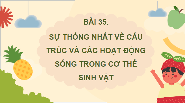 Giáo án điện tử KHTN 7 Cánh diều Bài 35: Sự thống nhất về cấu trúc và các hoạt động sống trong cơ thể sinh vật | PPT Khoa học tự nhiên 7