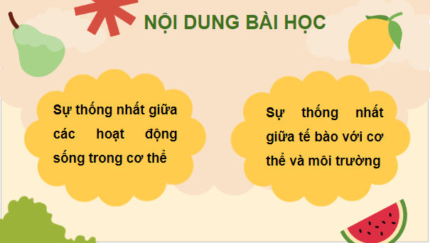 Giáo án điện tử KHTN 7 Cánh diều Bài 35: Sự thống nhất về cấu trúc và các hoạt động sống trong cơ thể sinh vật | PPT Khoa học tự nhiên 7