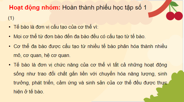 Giáo án điện tử KHTN 7 Cánh diều Bài 35: Sự thống nhất về cấu trúc và các hoạt động sống trong cơ thể sinh vật | PPT Khoa học tự nhiên 7