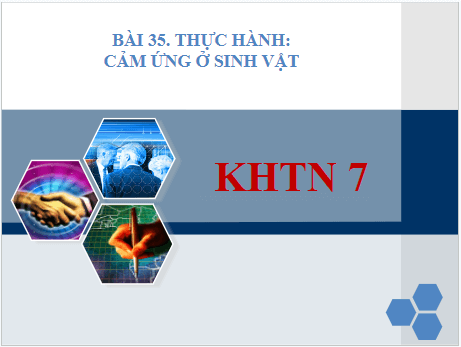 Giáo án điện tử KHTN 7 Kết nối tri thức Bài 35: Thực hành: Cảm ứng ở sinh vật | PPT Khoa học tự nhiên 7