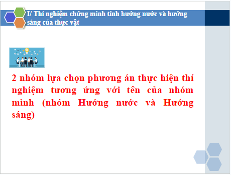 Giáo án điện tử KHTN 7 Kết nối tri thức Bài 35: Thực hành: Cảm ứng ở sinh vật | PPT Khoa học tự nhiên 7