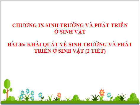 Giáo án điện tử KHTN 7 Kết nối tri thức Bài 36: Khái quát về sinh trưởng và phát triển ở sinh vật | PPT Khoa học tự nhiên 7