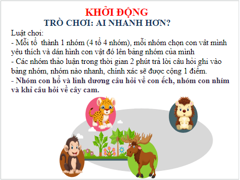 Giáo án điện tử KHTN 7 Kết nối tri thức Bài 36: Khái quát về sinh trưởng và phát triển ở sinh vật | PPT Khoa học tự nhiên 7