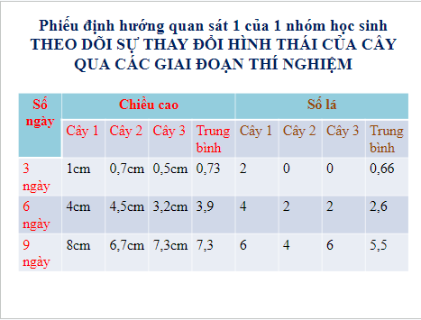 Giáo án điện tử KHTN 7 Chân trời sáng tạo Bài 36: Thực hành chứng minh sinh trưởng và phá triển ở thực vật, động vật | PPT Khoa học tự nhiên 7