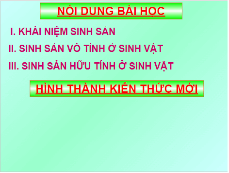 Giáo án điện tử KHTN 7 Chân trời sáng tạo Bài 37: Sinh sản ở sinh vật | PPT Khoa học tự nhiên 7