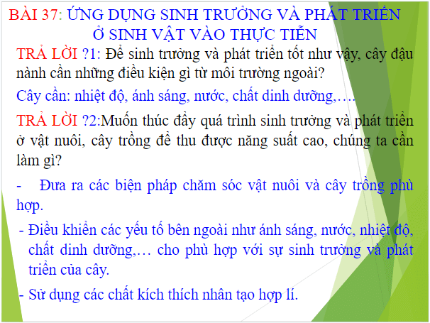 Giáo án điện tử KHTN 7 Kết nối tri thức Bài 37: Ứng dụng sinh trưởng và phát triển ở sinh vật vào thực tiễn | PPT Khoa học tự nhiên 7