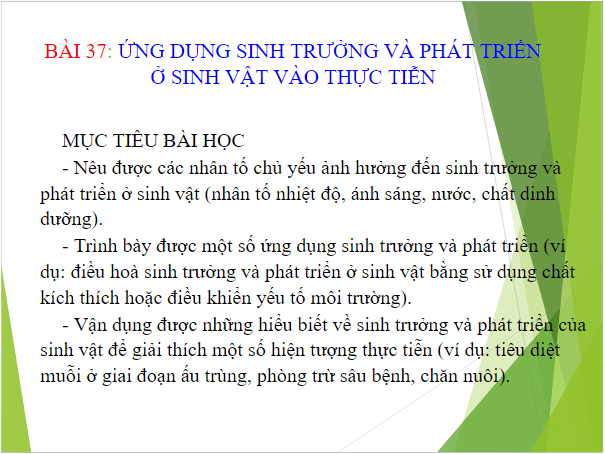 Giáo án điện tử KHTN 7 Kết nối tri thức Bài 37: Ứng dụng sinh trưởng và phát triển ở sinh vật vào thực tiễn | PPT Khoa học tự nhiên 7