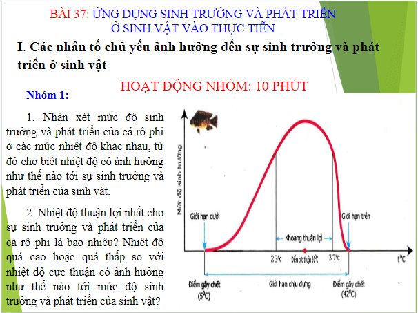 Giáo án điện tử KHTN 7 Kết nối tri thức Bài 37: Ứng dụng sinh trưởng và phát triển ở sinh vật vào thực tiễn | PPT Khoa học tự nhiên 7