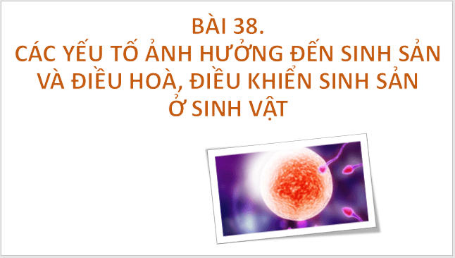 Giáo án điện tử KHTN 7 Chân trời sáng tạo Bài 38: Các yếu tố ảnh hưởng đến sinh sản và điều hoà, điều khiển sinh sản ở sinh vật | PPT Khoa học tự nhiên 7